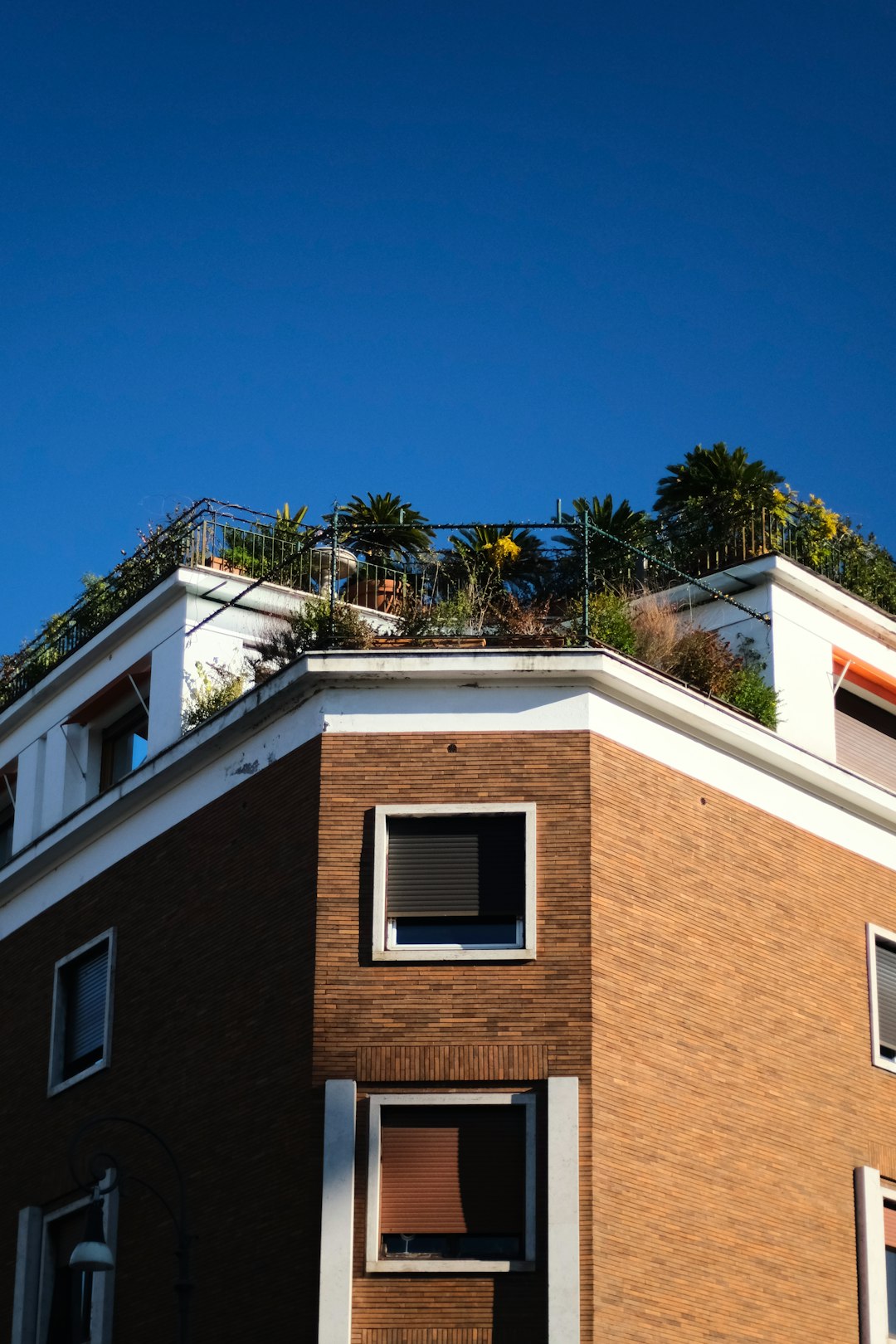 Rooftop Haven Garden