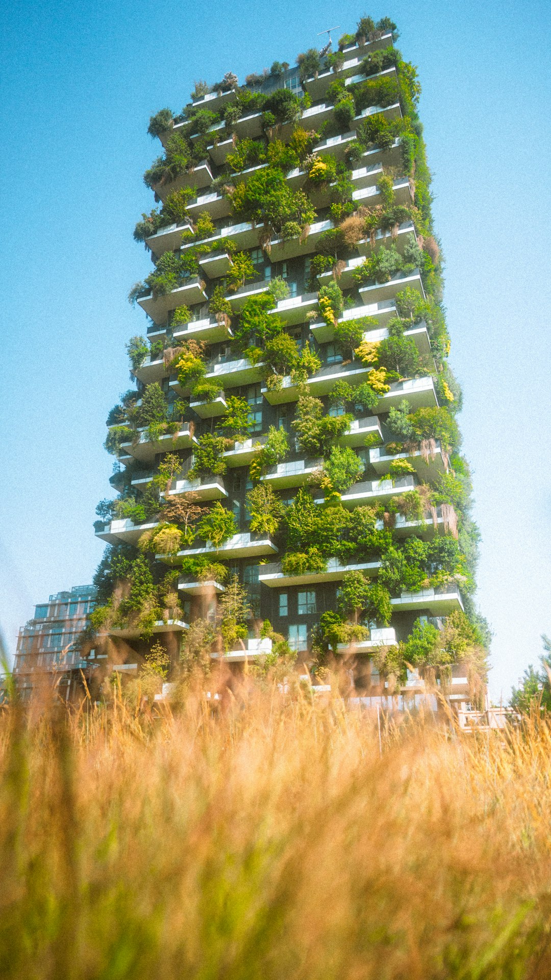 Sustainable Architecture Consultation