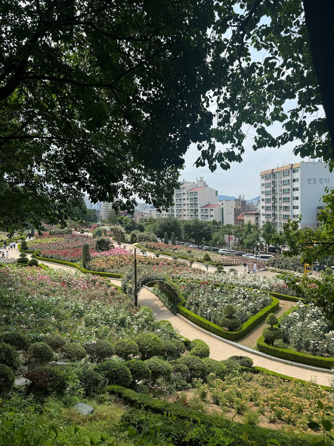 Urban Oasis Landscape