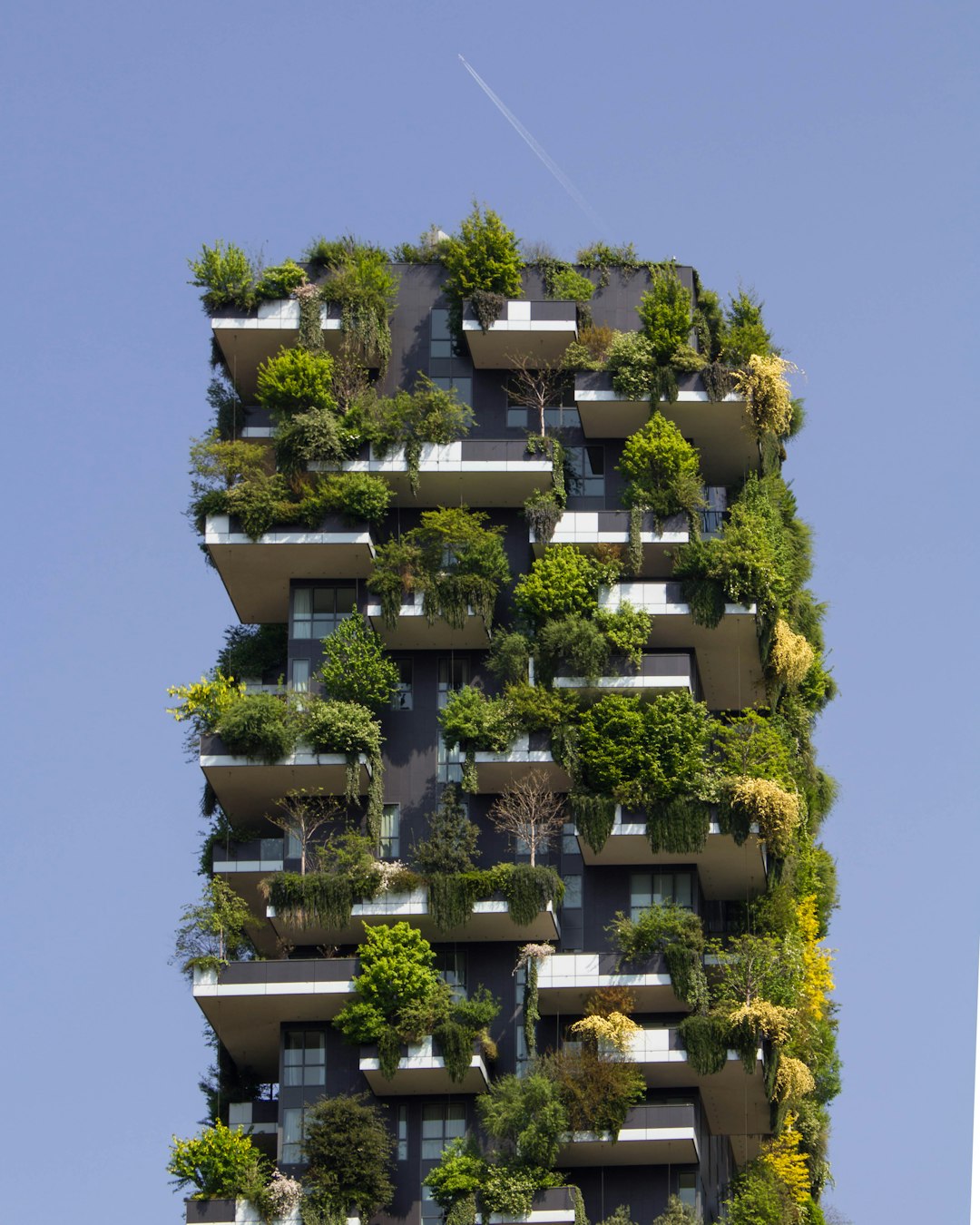 Eco-Friendly Modern Home